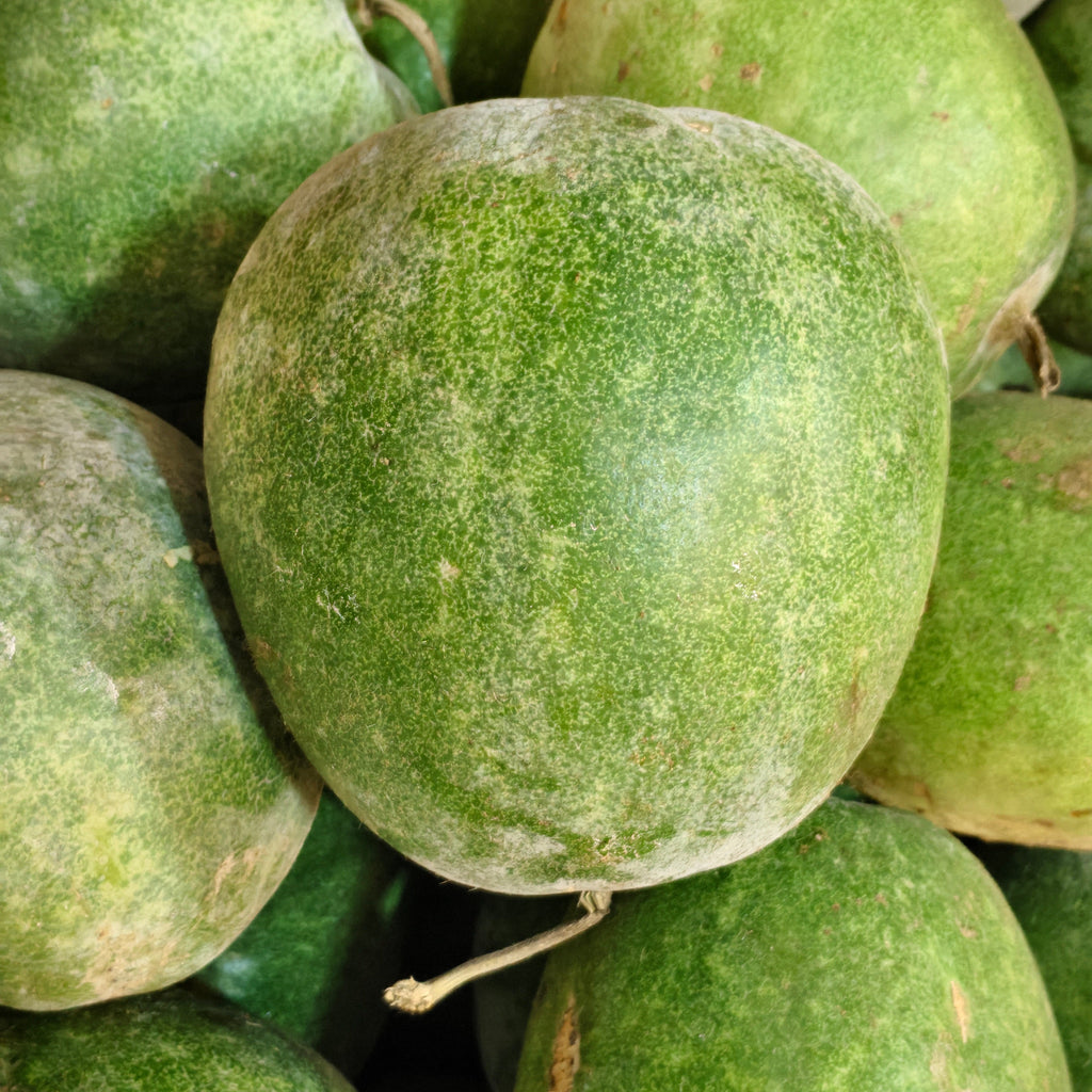 white pumpkin (budidha gummadikaya)