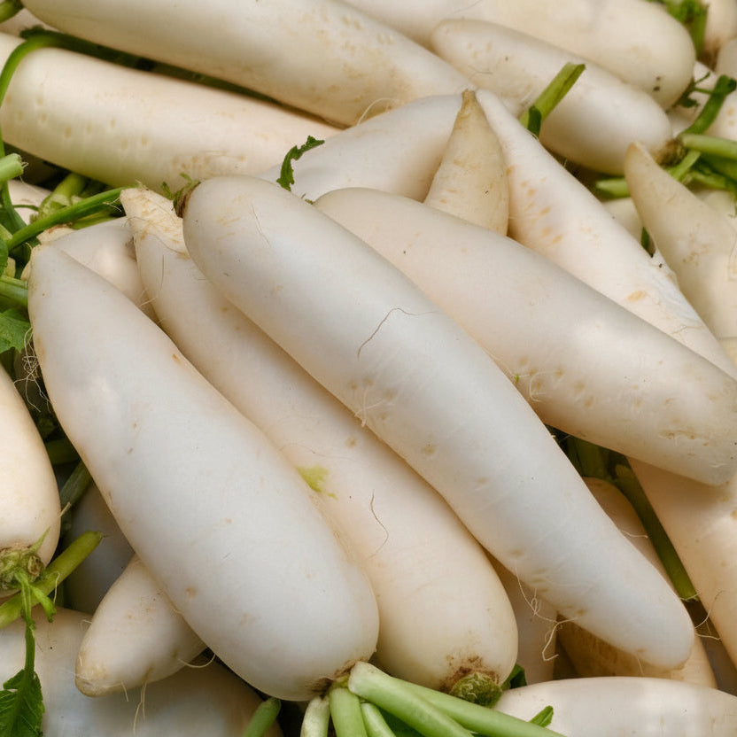 Radish (mullangi)
