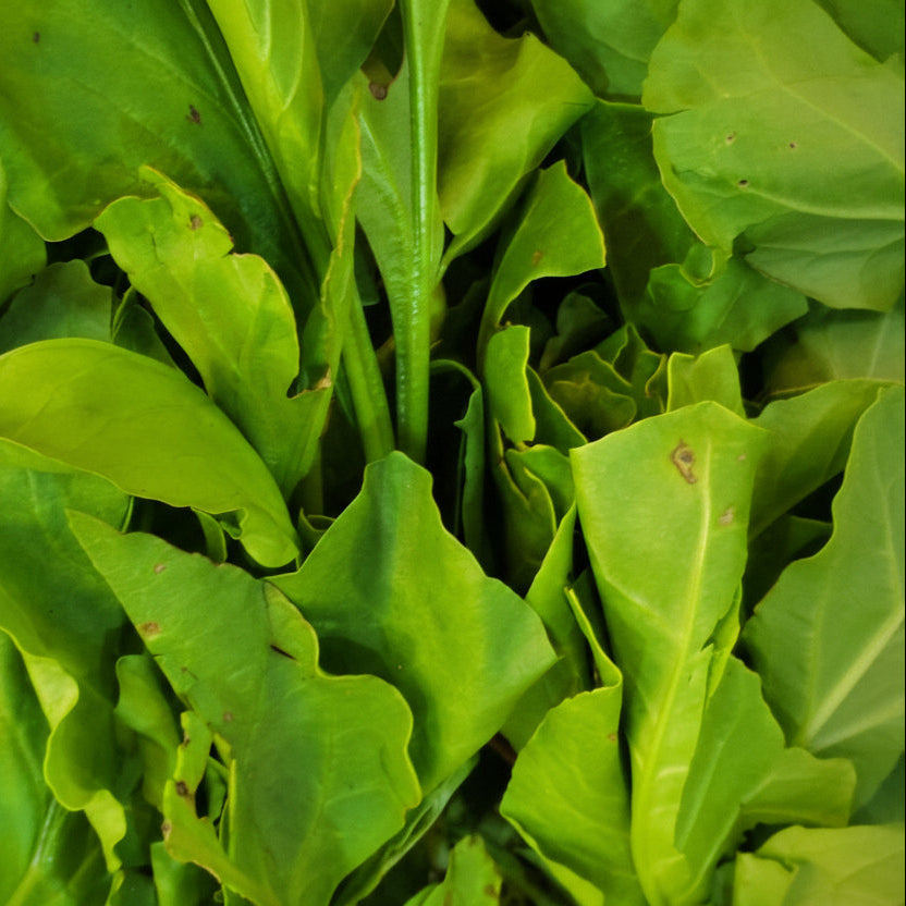 spinach leaves ( pala kura)