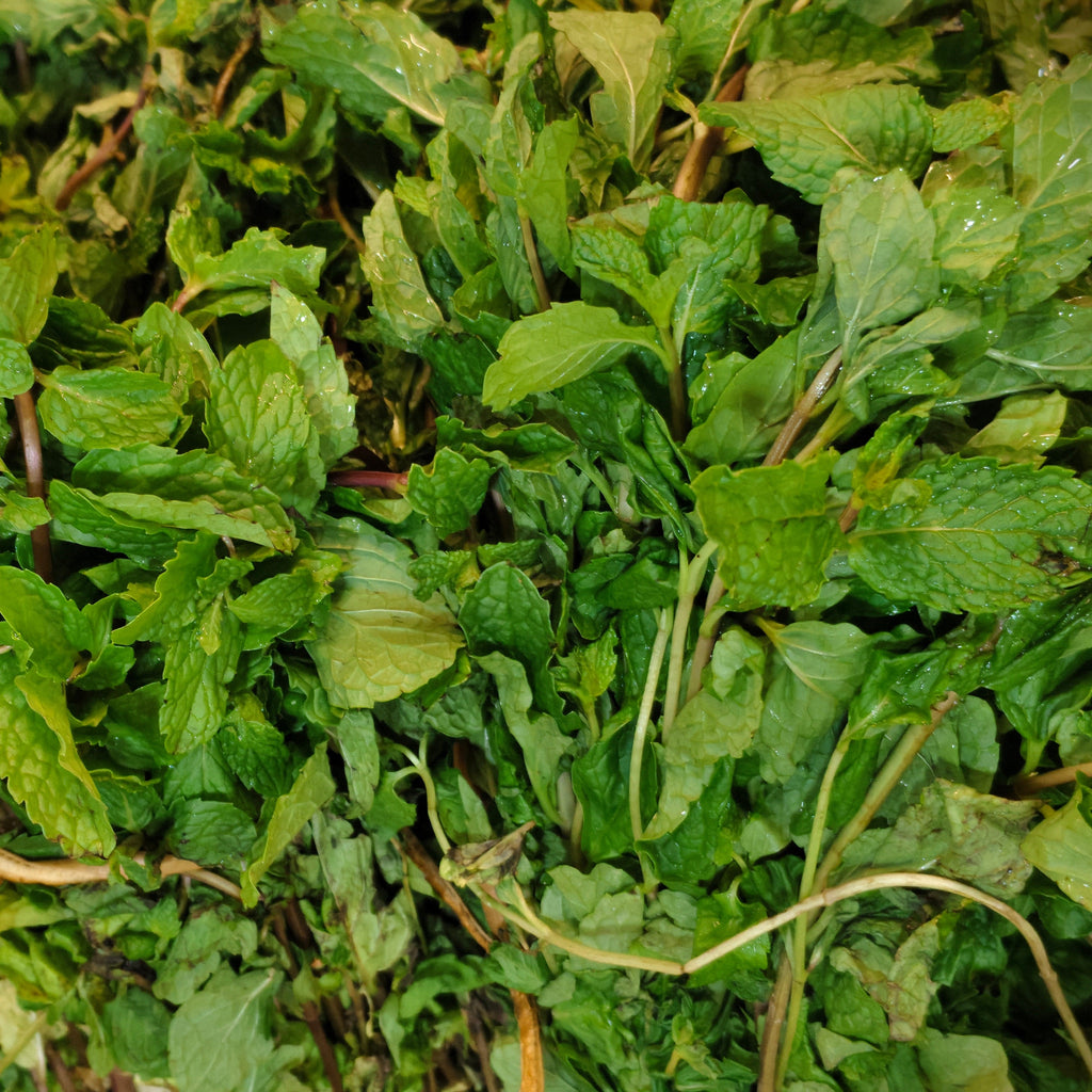 mint (pudhina)