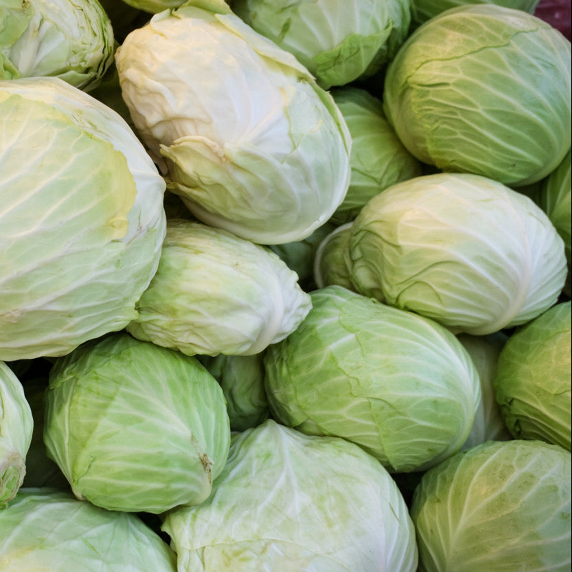cabbage