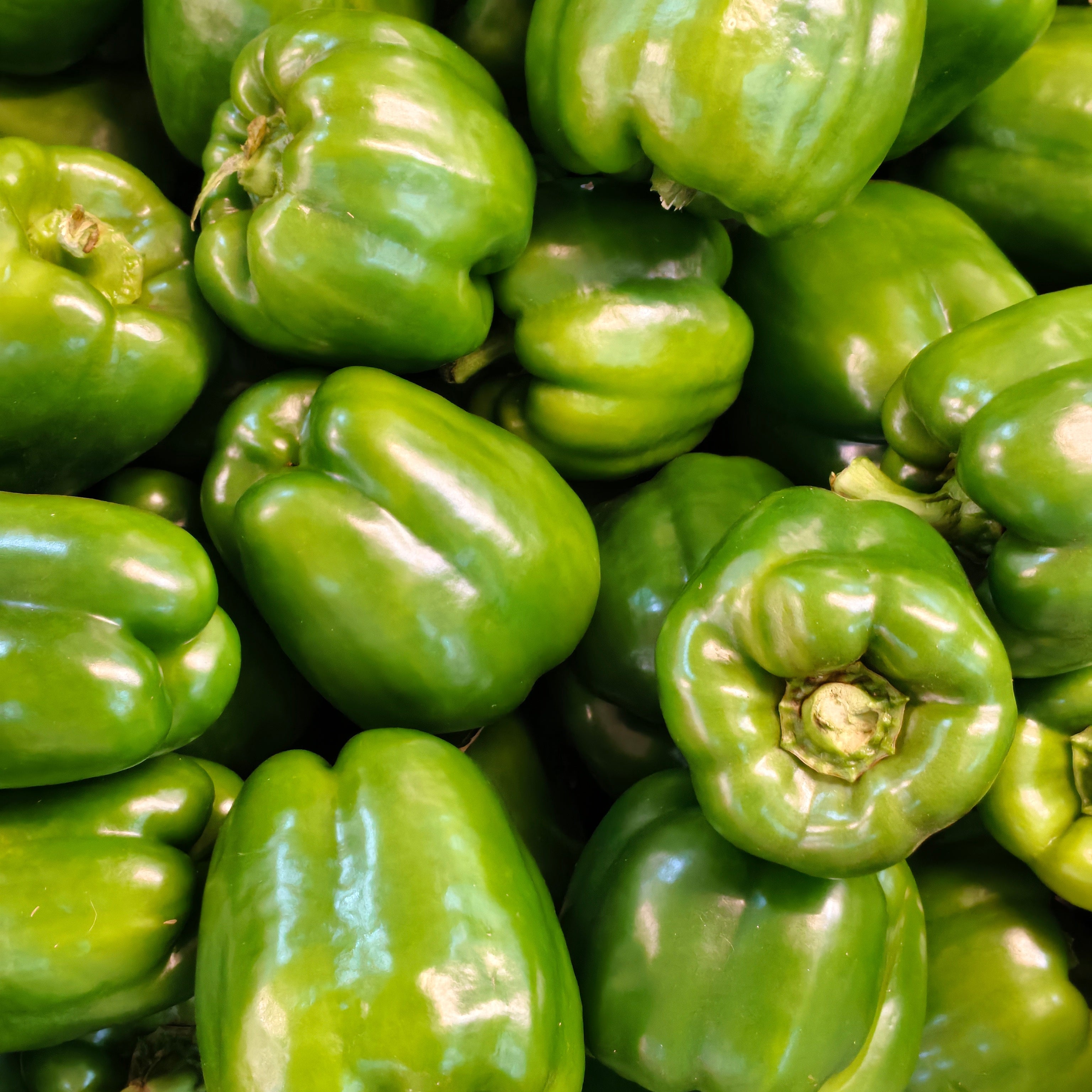 Green capsicum