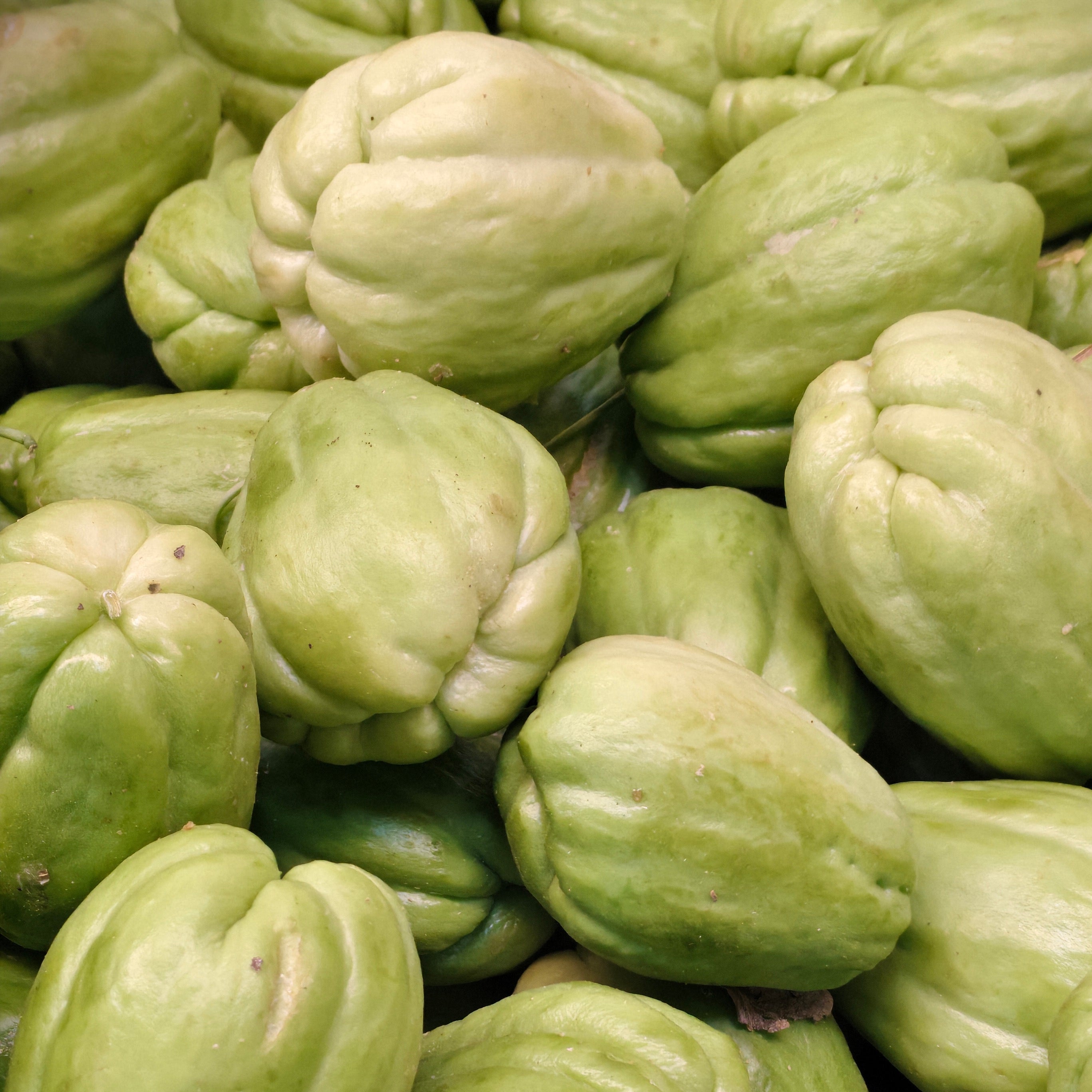 Eggplant (seema vankaya)