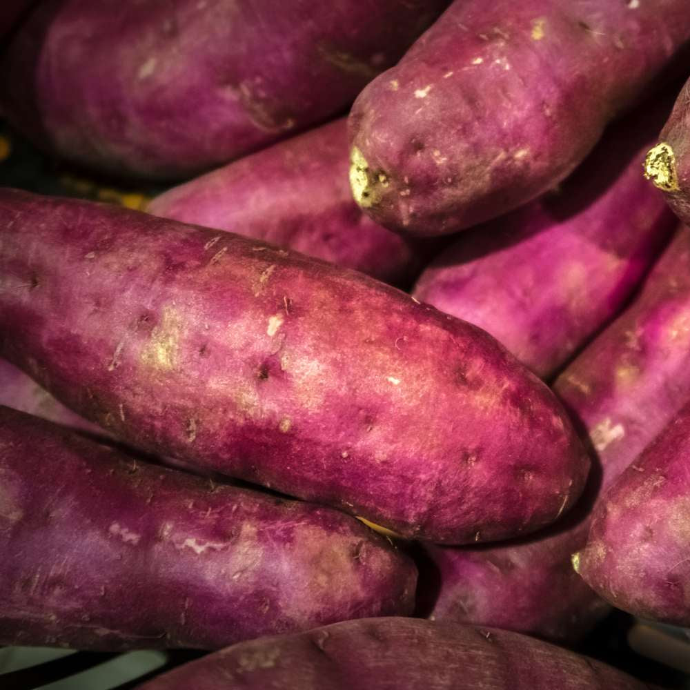 Sweet potato (gansi gadda)