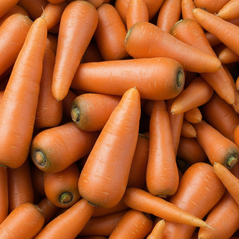 Carrot