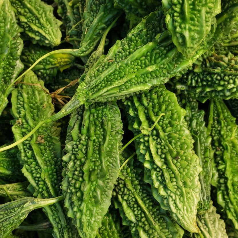 Bitter Gourd (kakarakaya)